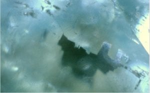 inclusion_in_tourmaline5_1.jpg