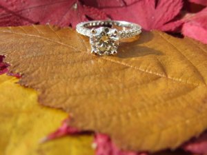 img_0476.jpg