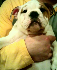 screen_shot_2012-11-17_at_0.png