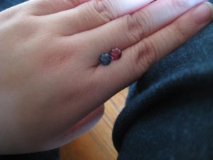 img_3692.jpg