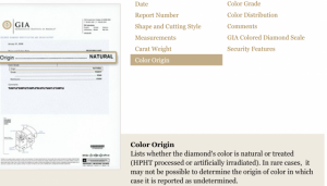 screen_shot_2012-11-19_at_1.png
