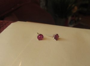 rhodolitestuds.jpg