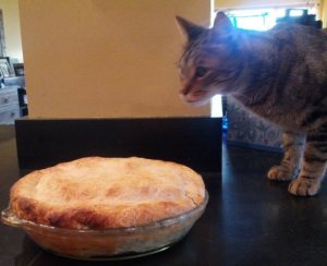 tommyadmiringdaddysapplepie.jpg