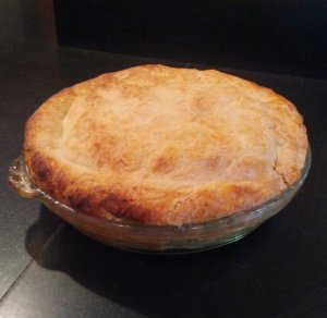 forgetthanksgivingdinnergivemesomedhsapplepieplease.jpg
