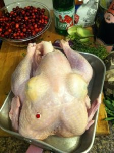 niptucky.jpg