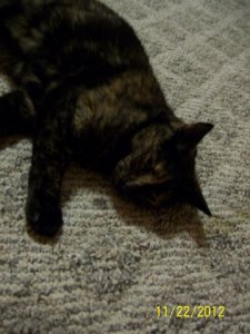 100_4395.jpg