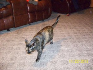 100_4401.jpg