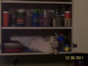 100_4004.jpg