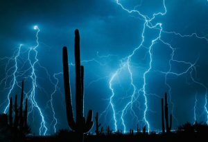 screen_shot_2012-11-24_at_1.png