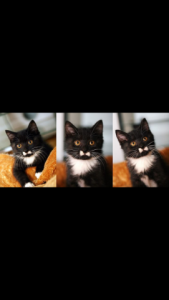 img_7800.png