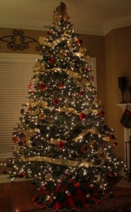img_0906.jpg