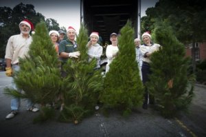 shop-christmastreesvolunteers-na-800-648x431.jpg