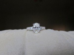 img_3960.jpg
