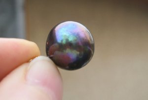 edison_3828.jpg