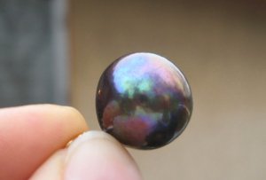 edison_3927.jpg