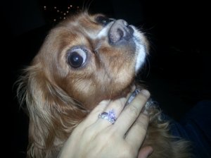 20121202_103815.jpg