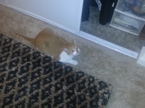 20121203_214653.jpg