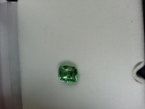 mint_day_4.jpg