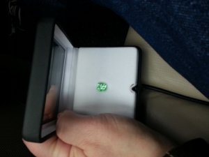 mint_day_6.jpg