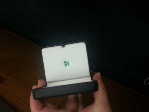 mint_evening8.jpg