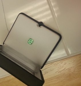 mint_evening7.jpg