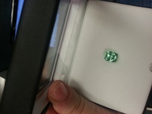 mint_evening_5.jpg