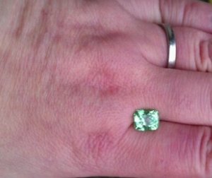 mint_garnet_outside_2.jpg