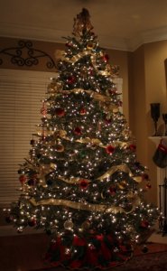 img_354.jpg
