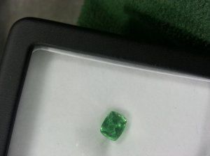 fluor_light_mint.jpg