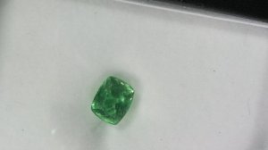 fluor2.jpg