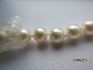 img_1922.jpg