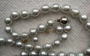 akoya_4024.jpg