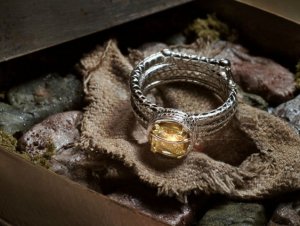 indy-ring-2.jpg