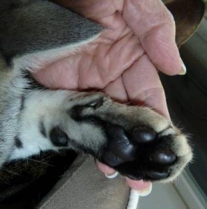 footsie.jpg