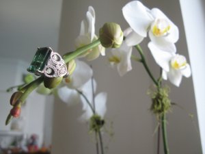 img_5748.jpg