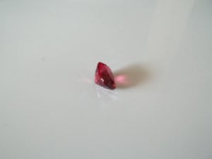 100_0408.jpg