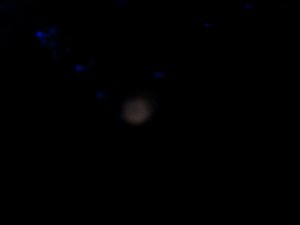 imageuploadedbytapatalk_hd1356309317.jpg imageuploadedbytapatalk_hd1356309317.jpg