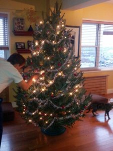 decoratingourfirsttree.jpg