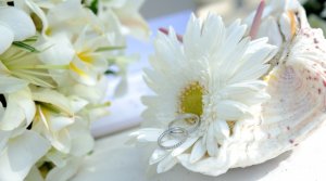 cartier_wedding_1.jpg cartier_wedding_1.jpg