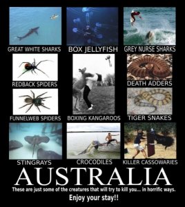 australia.jpg