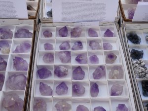 tucsongemshow_3.jpg