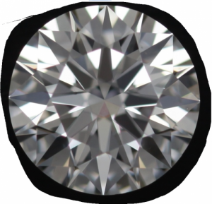steven_ferry_ld02964335.png