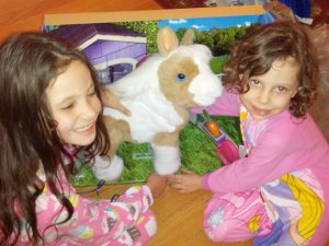 mysweetnieces.jpg