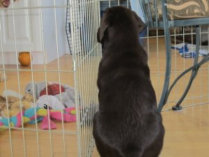 img_3116.jpg