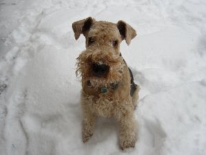 img_433.jpg