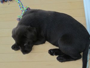 img_3118.jpg