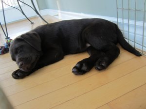 img_3121.jpg