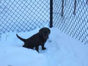 img_3123.jpg