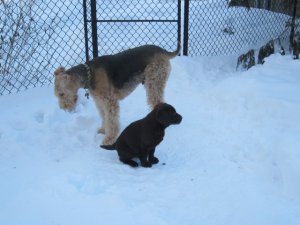 img_434.jpg