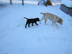 img_3127.jpg